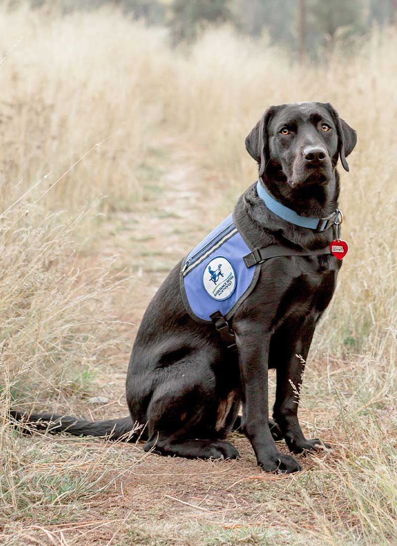 Lucy - Flowers by Lily Garland